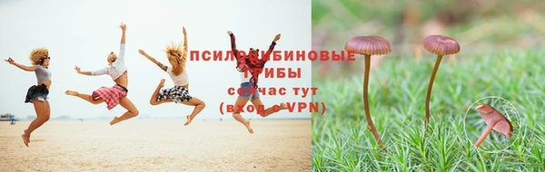 шишки Бородино