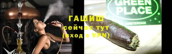 шишки Бородино