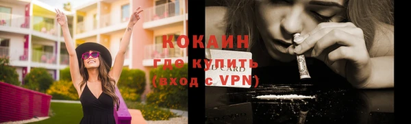 шишки Бородино