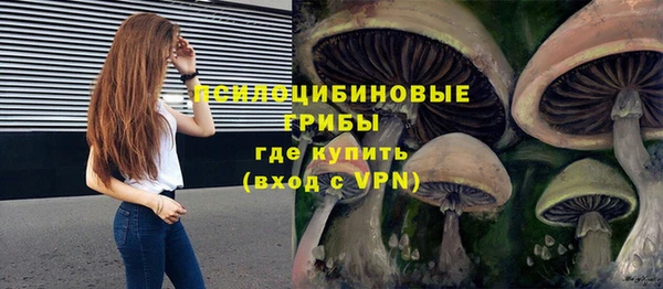 шишки Бородино