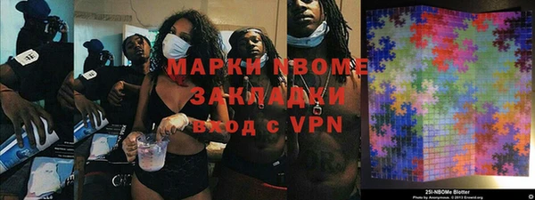 шишки Бородино