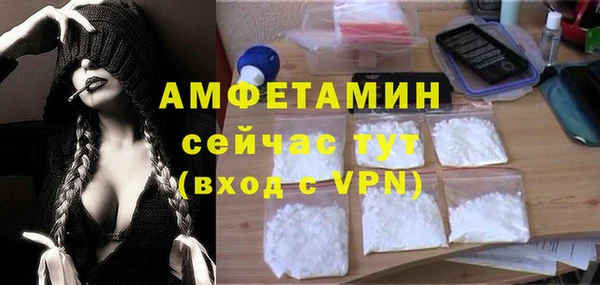 шишки Бородино