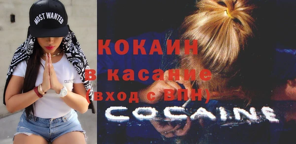 шишки Бородино