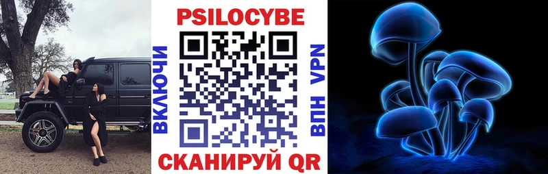 Псилоцибиновые грибы Psilocybine cubensis  где продают наркотики  Мензелинск 